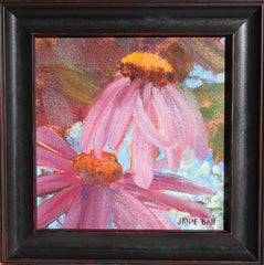 Purple Cone Flowers