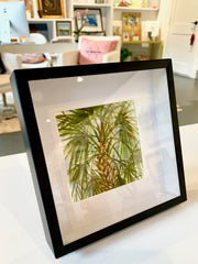 Palmetto