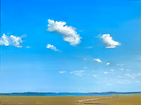 Partly Cloudy