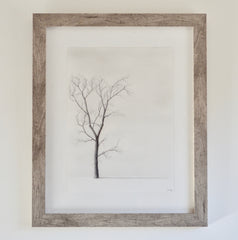 Tree Study