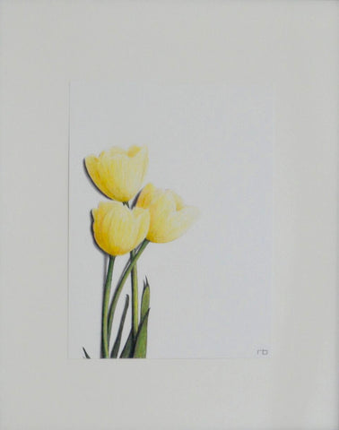 Tulip Study