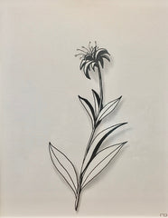 Untitled 2