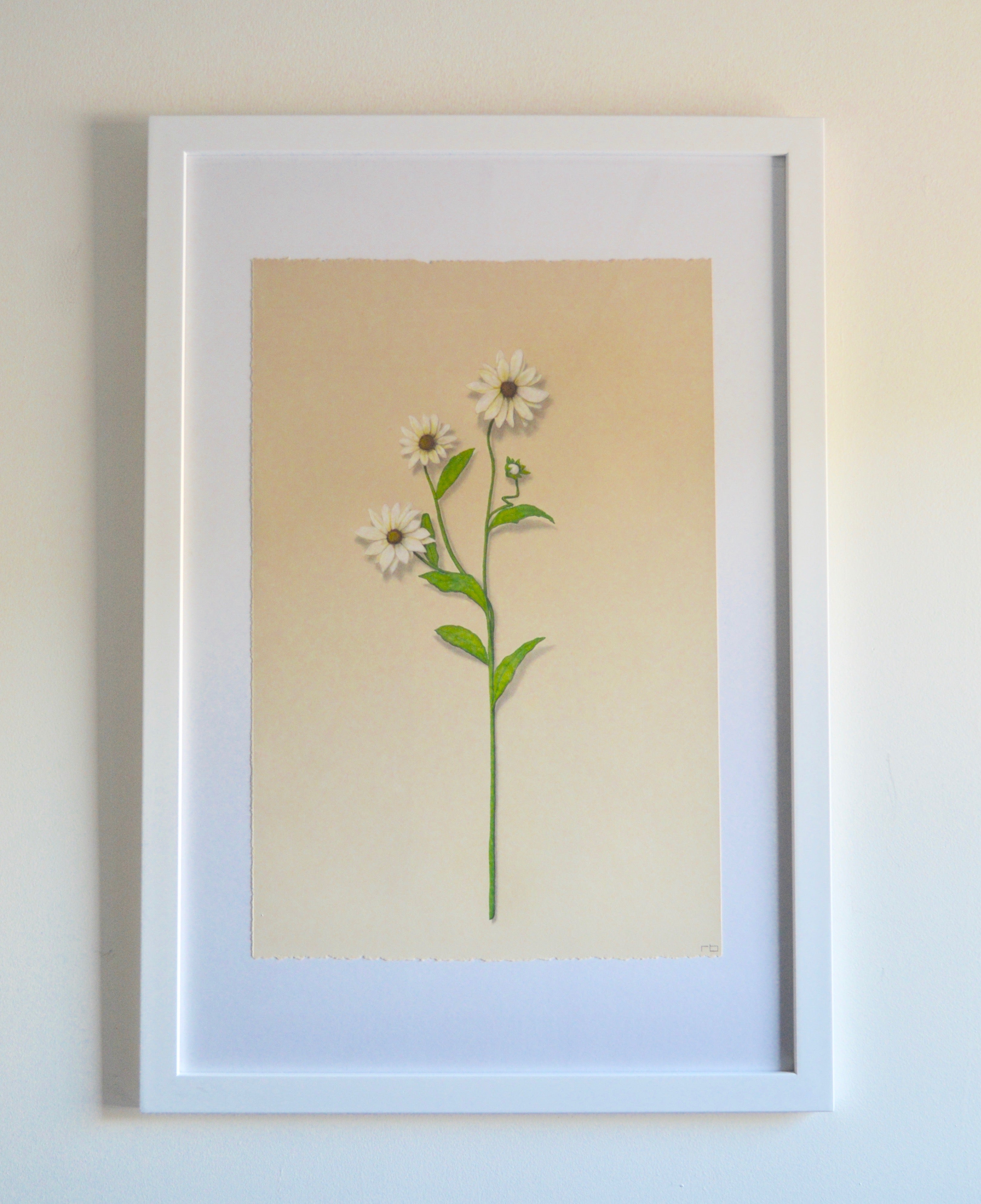 Wildflower