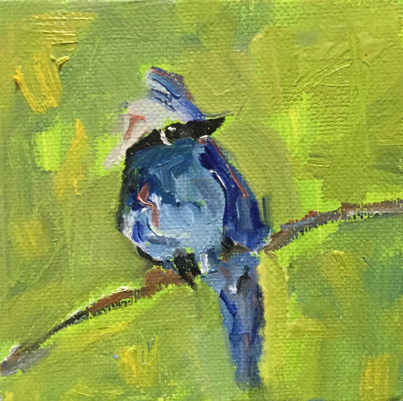 Kinf of Bluebird