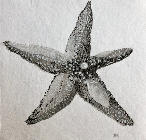 Starfish