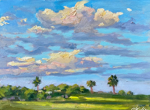 Sullivan's Island Field