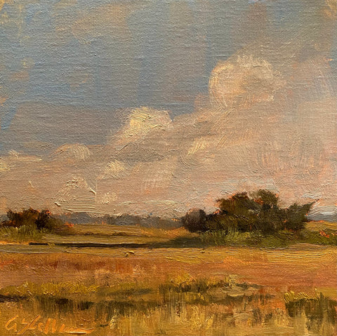 Sunlit Spartina