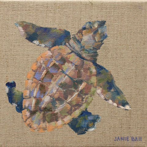 Turtle III