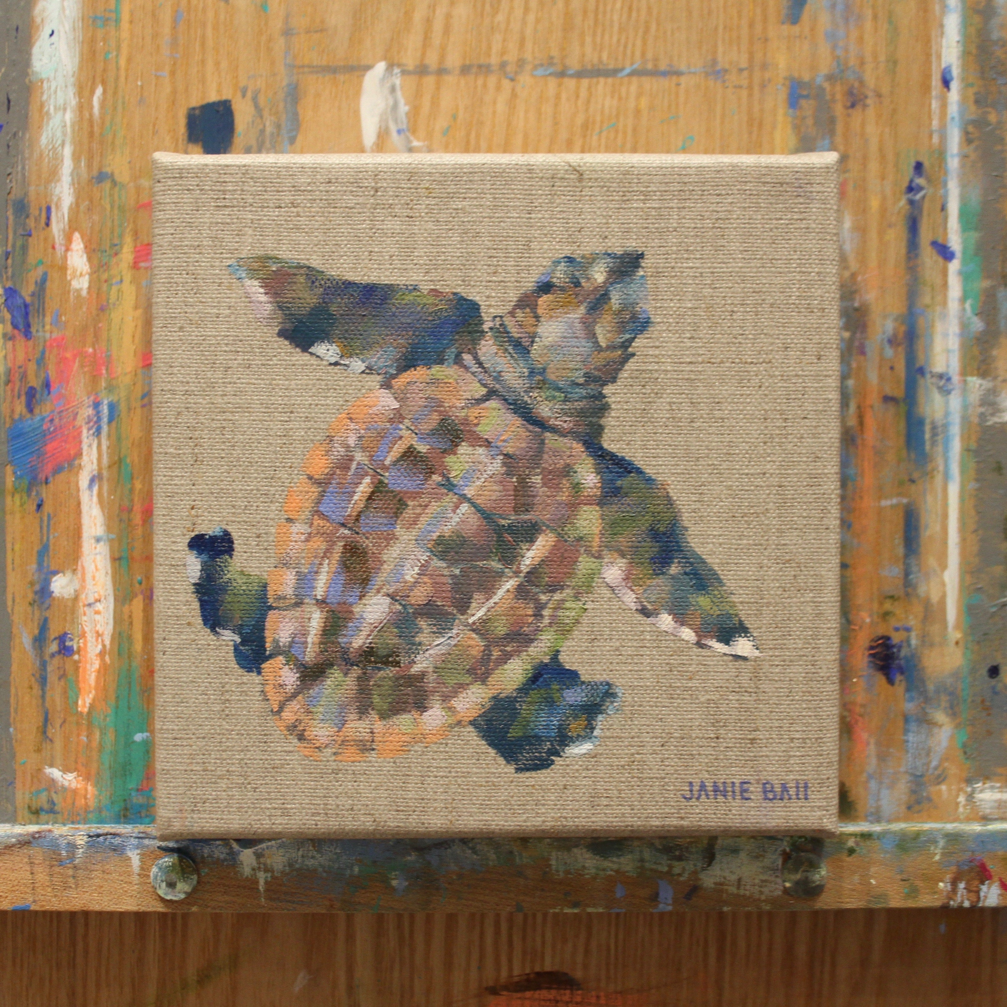 Turtle III