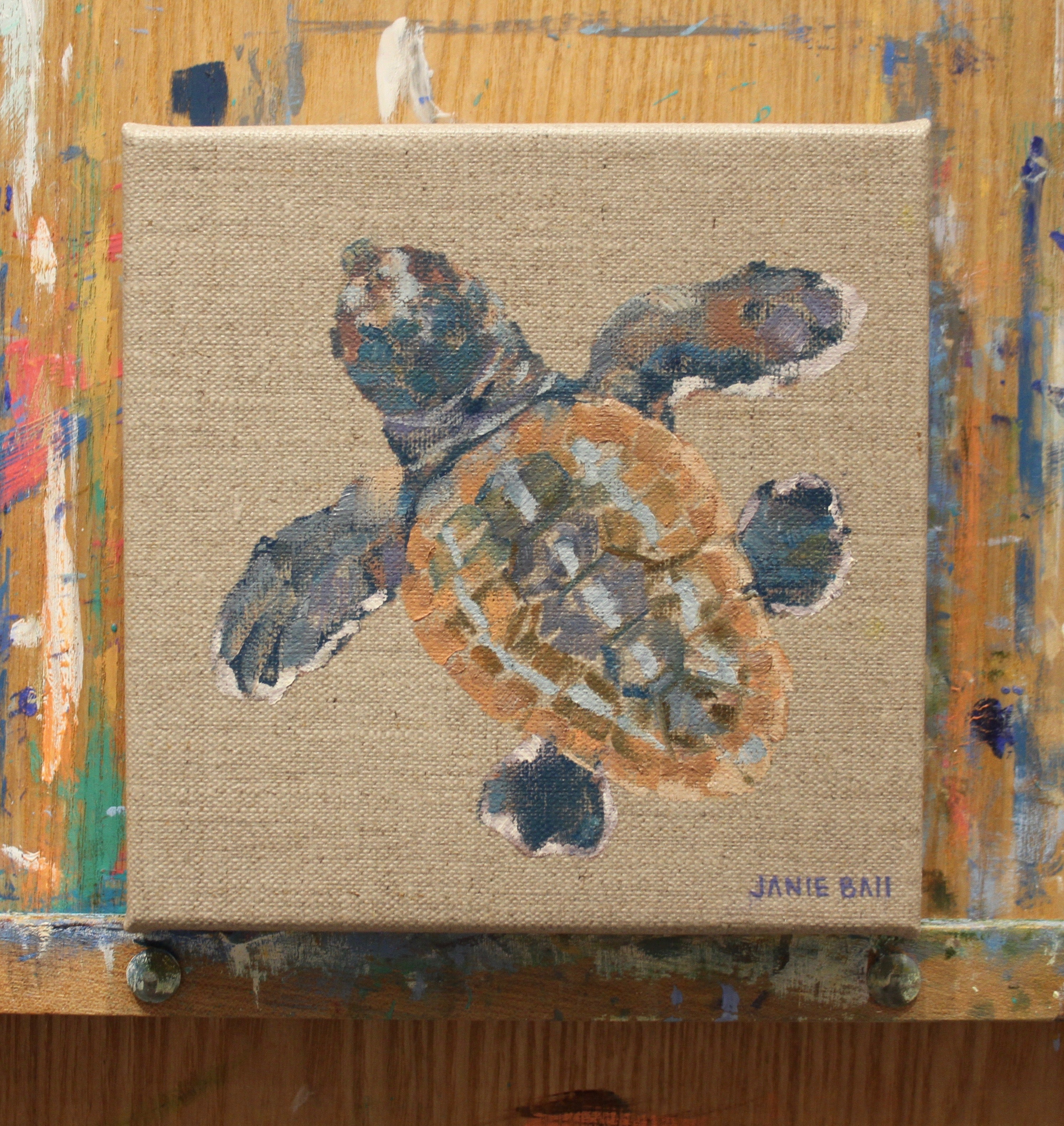 Turtle II