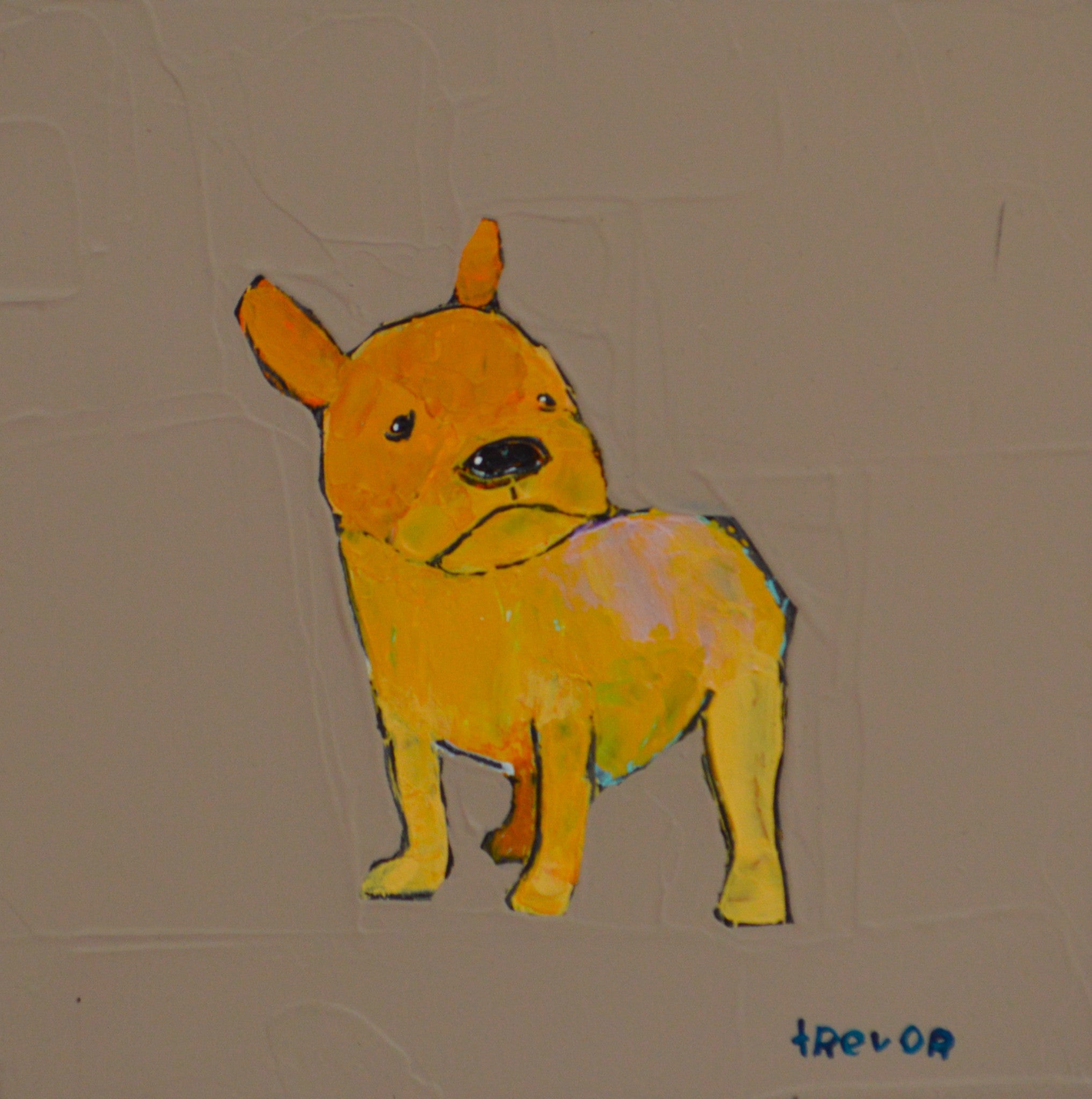 The Most Adorable Cutie Tiniest Baby French Bulldog Ever