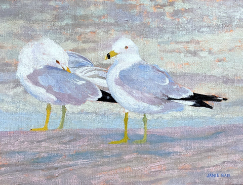 Two Gulls Are Better Than One