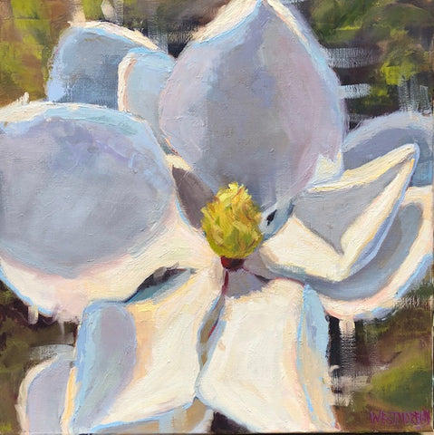 Sunlit Magnolia