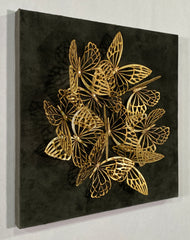 Butterflies 3D 1