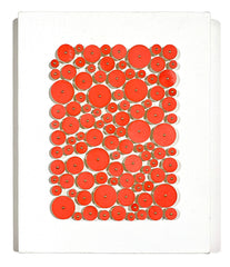 Coral Color Field