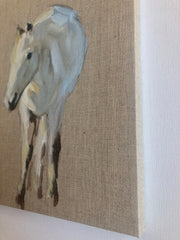 Horse Study