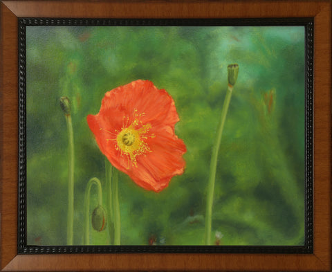 Poppy