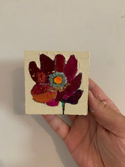 Gerber Daisy
