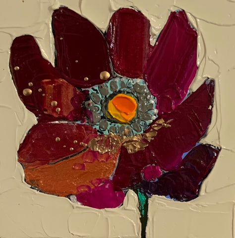 Gerber Daisy