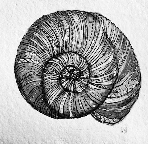 Shell