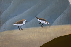 Pelican and Sandpipers