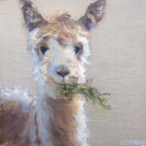 Happy Llama