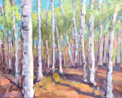 Aspen Field